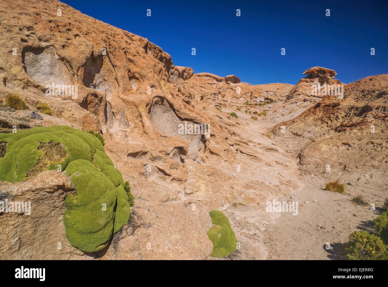 Volcanic rocks near salt planes Salar de Uyuni in bolivian desert Stock Photo