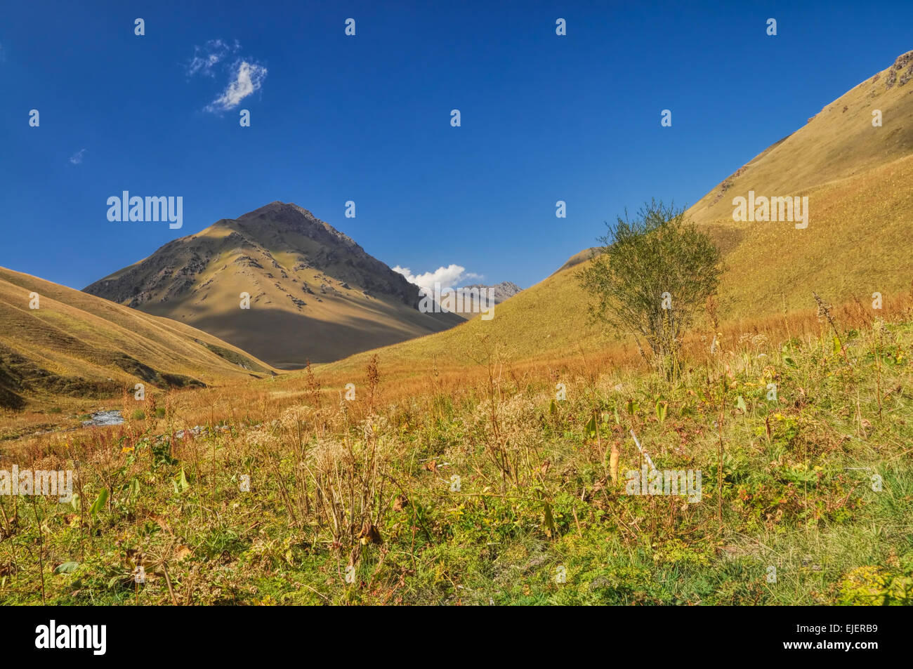 Picturesque green hills in Ala Archa national park in Tian Shan mountain range in Kyrgyzstan Stock Photo