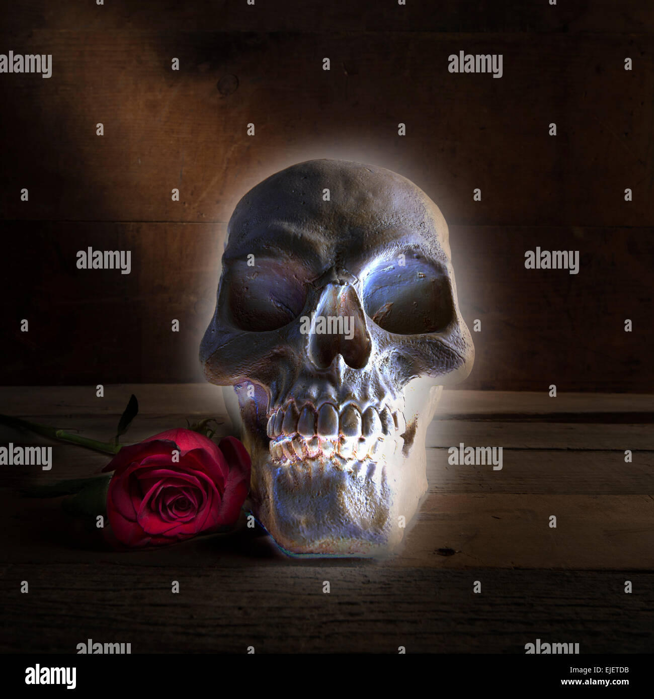 Halloween Glowing Skull With Rose Stock Photo
