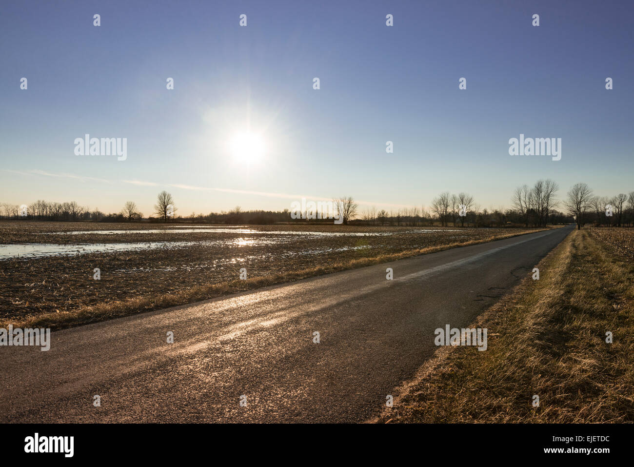 country camo air max 97