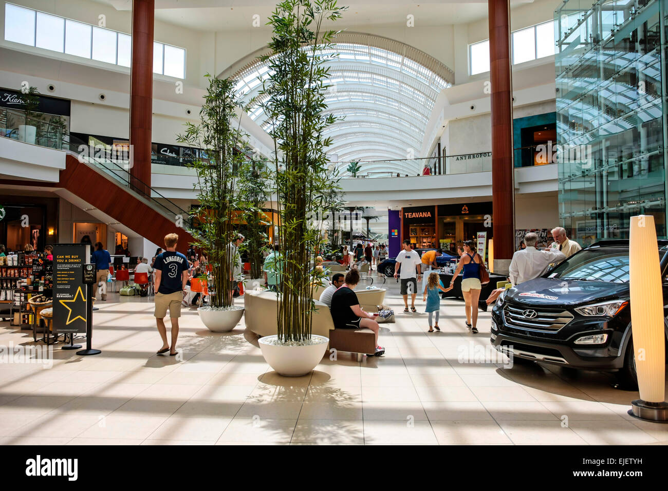 Inside the new University Town Center Mall located just off I-75 on