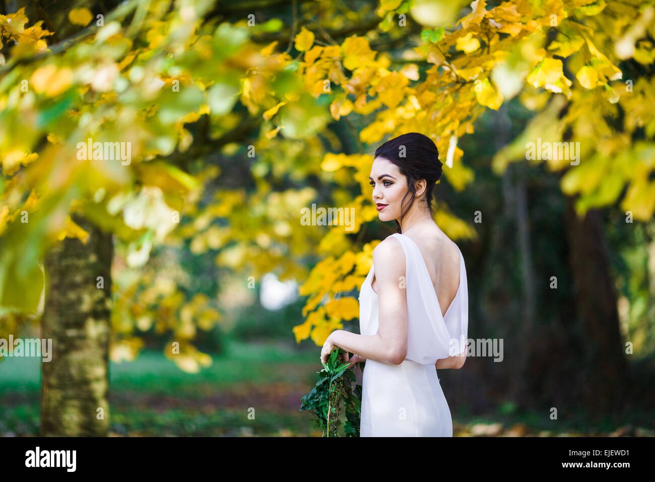 Devon Wedding Photographer | Cornwall Wedding Photographer | Marquee Wedding Stock Photo