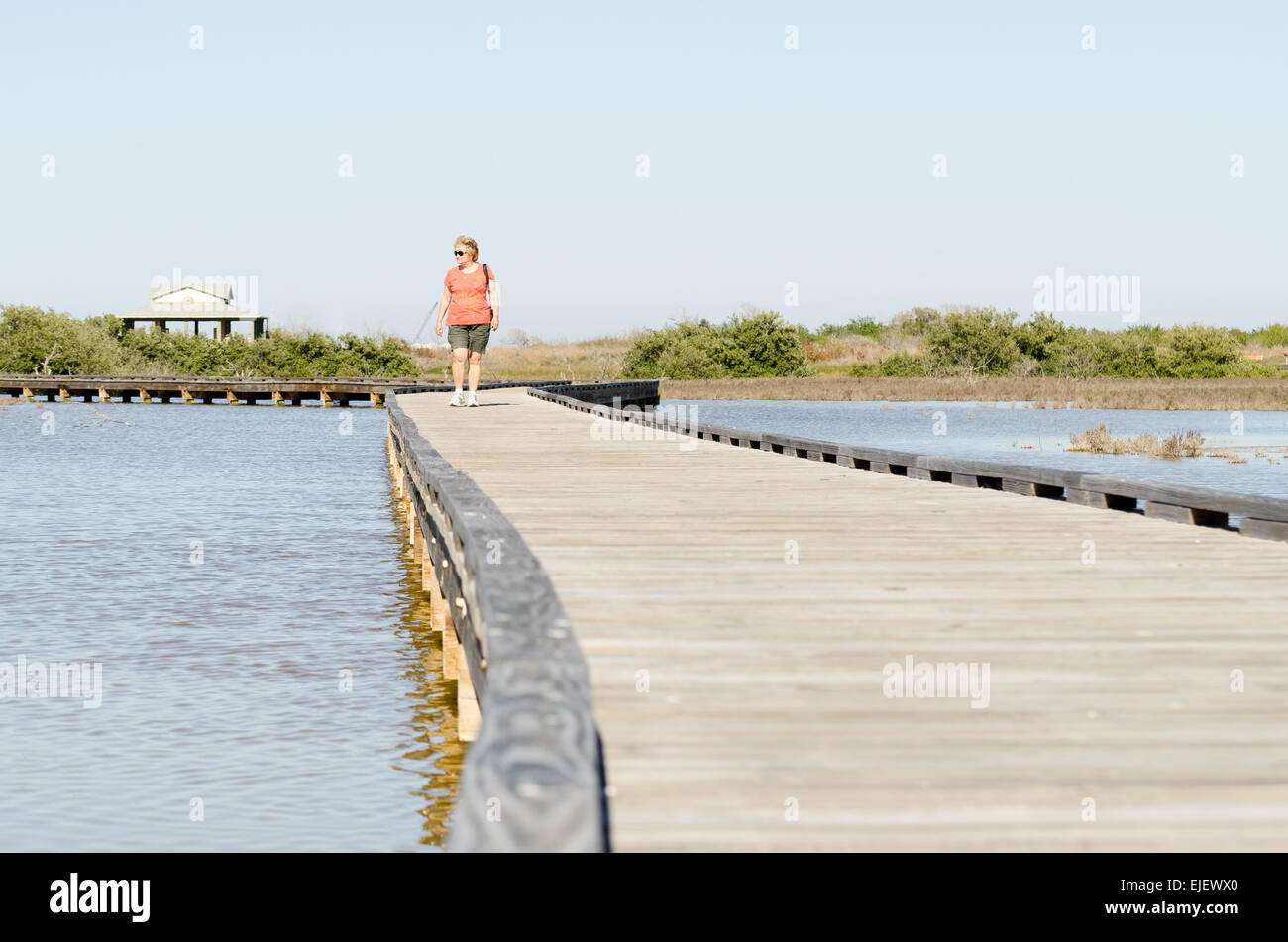 Woman in her 60s walking along the boardwalk in Charlies' Pasture Nature Preserve in Port Aransas, Texas USA Stock Photo