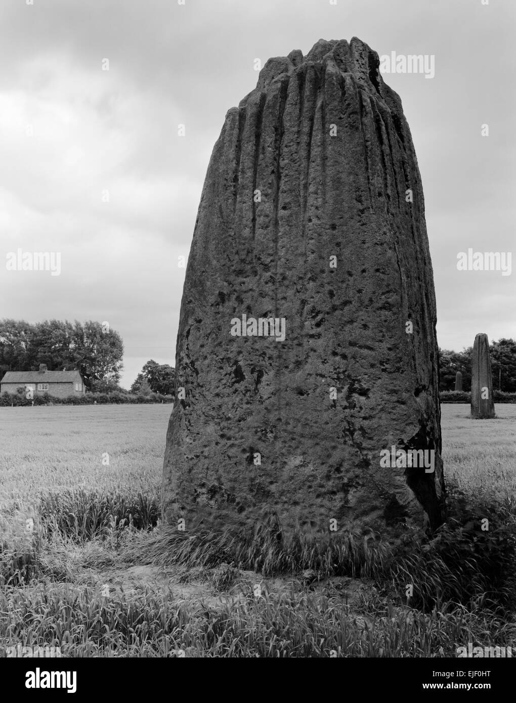 Looking SE at the Devil's Arrows, Boroughbridge, North Yorkshire, three prehistoric standing stones of millstone grit arranged in a N-S line. Stock Photo