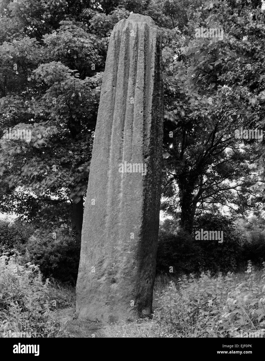 Looking SE at the S stone of the Devil's Arrows, Boroughbridge, North Yorkshire, a line of three prehistoric standing stones of millstone grit. Stock Photo