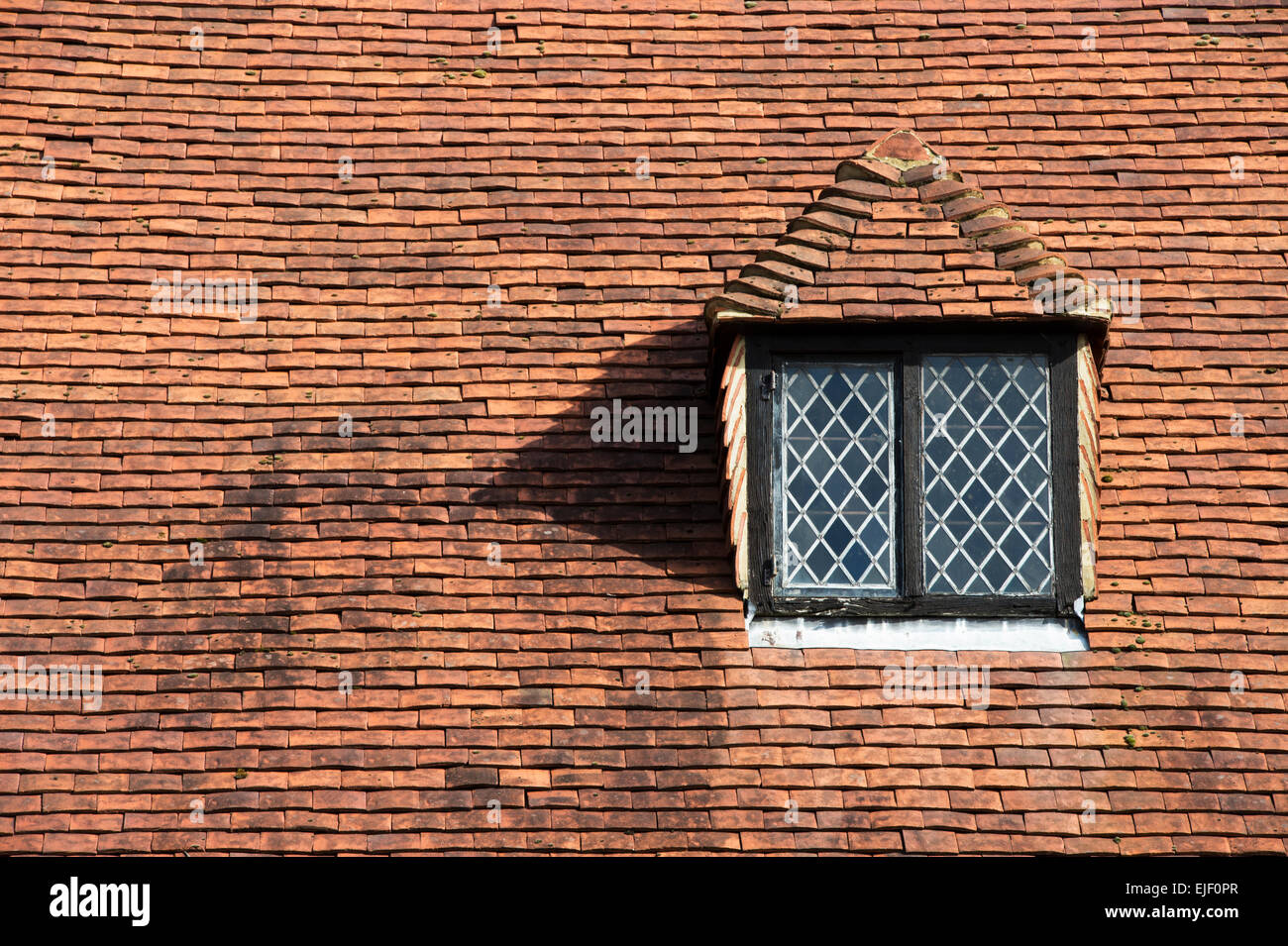 RHS Wisley laboratory Dormer window and roof tiles. Surrey, England Stock Photo