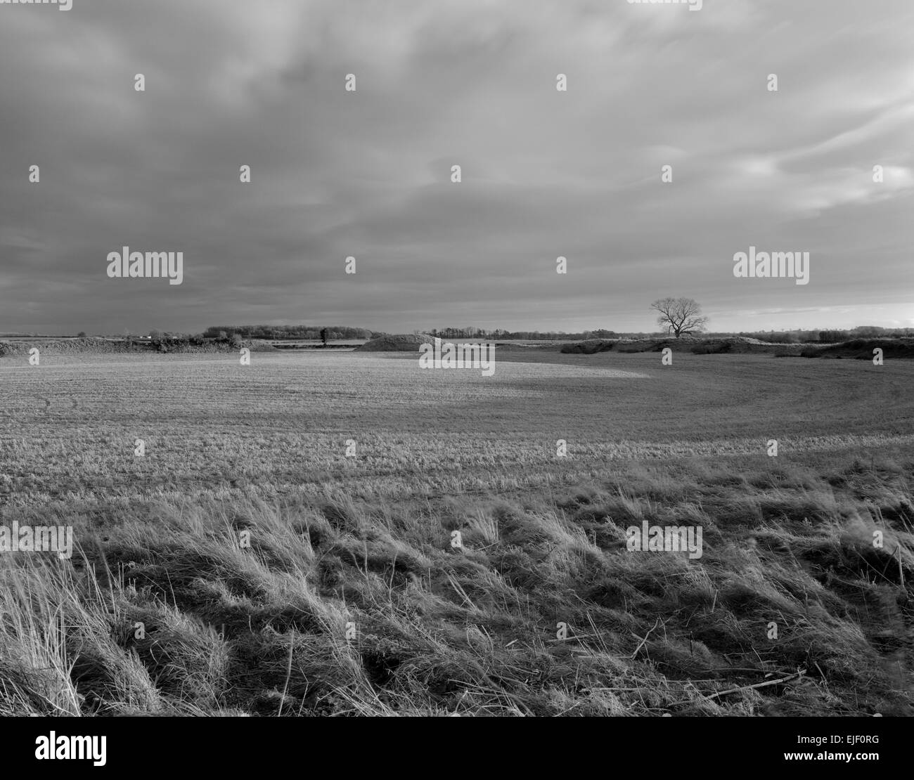 Looking S across the interior of Thornborough (central) henge monument, North Yorkshire, to its SE entrance: one of 3 Neolithic ritual earthworks. Stock Photo