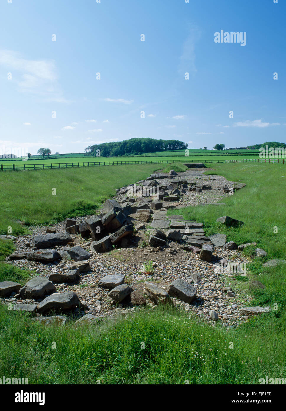 Piercebridge, N Yorks: looking SSE across former course of River Tees at scattered remains of masonry piers which once supported a C2ndAD Roman bridge Stock Photo