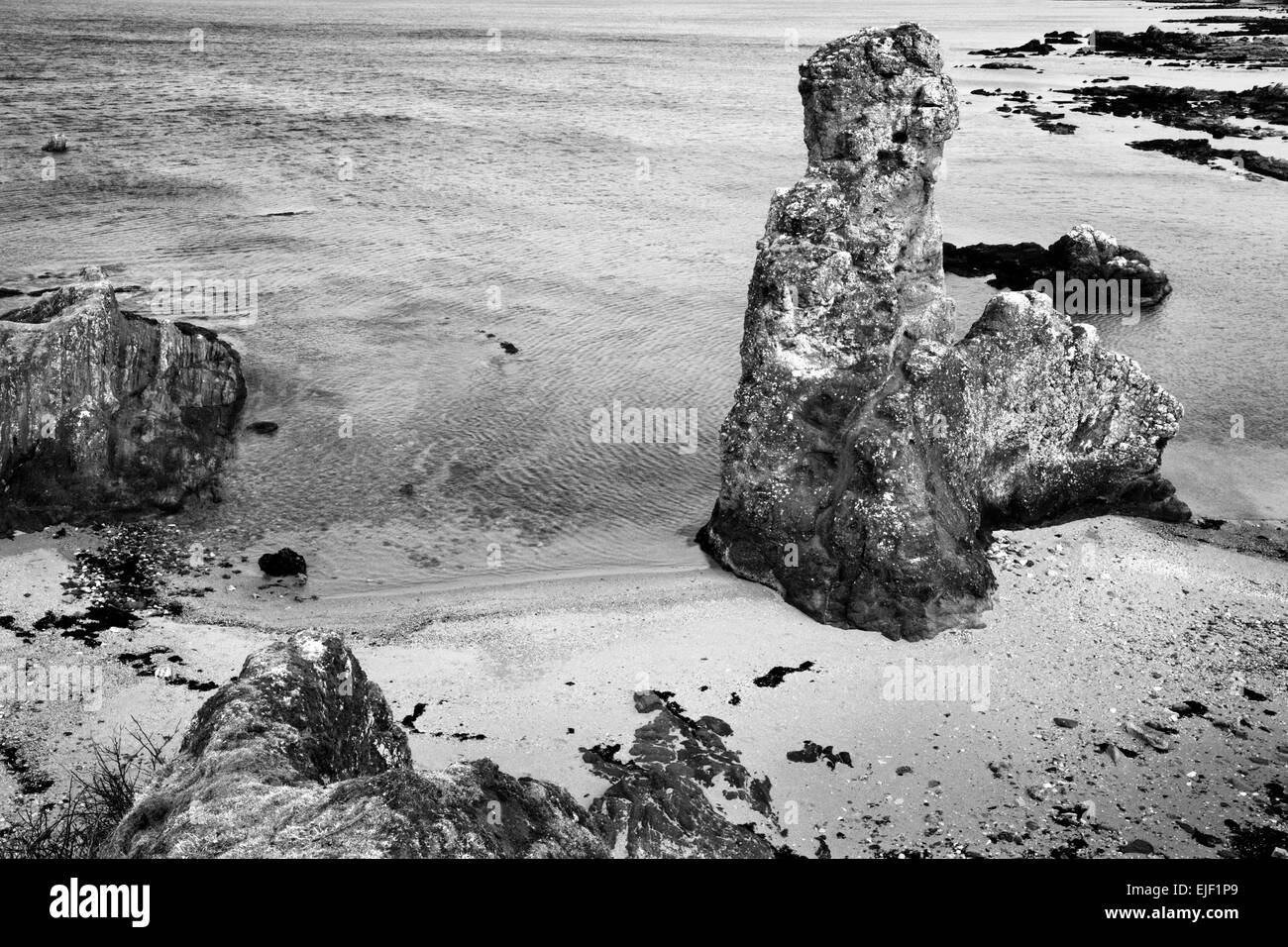 The Rock and Spindle on the Fife Coast Path near St Andrews Fife