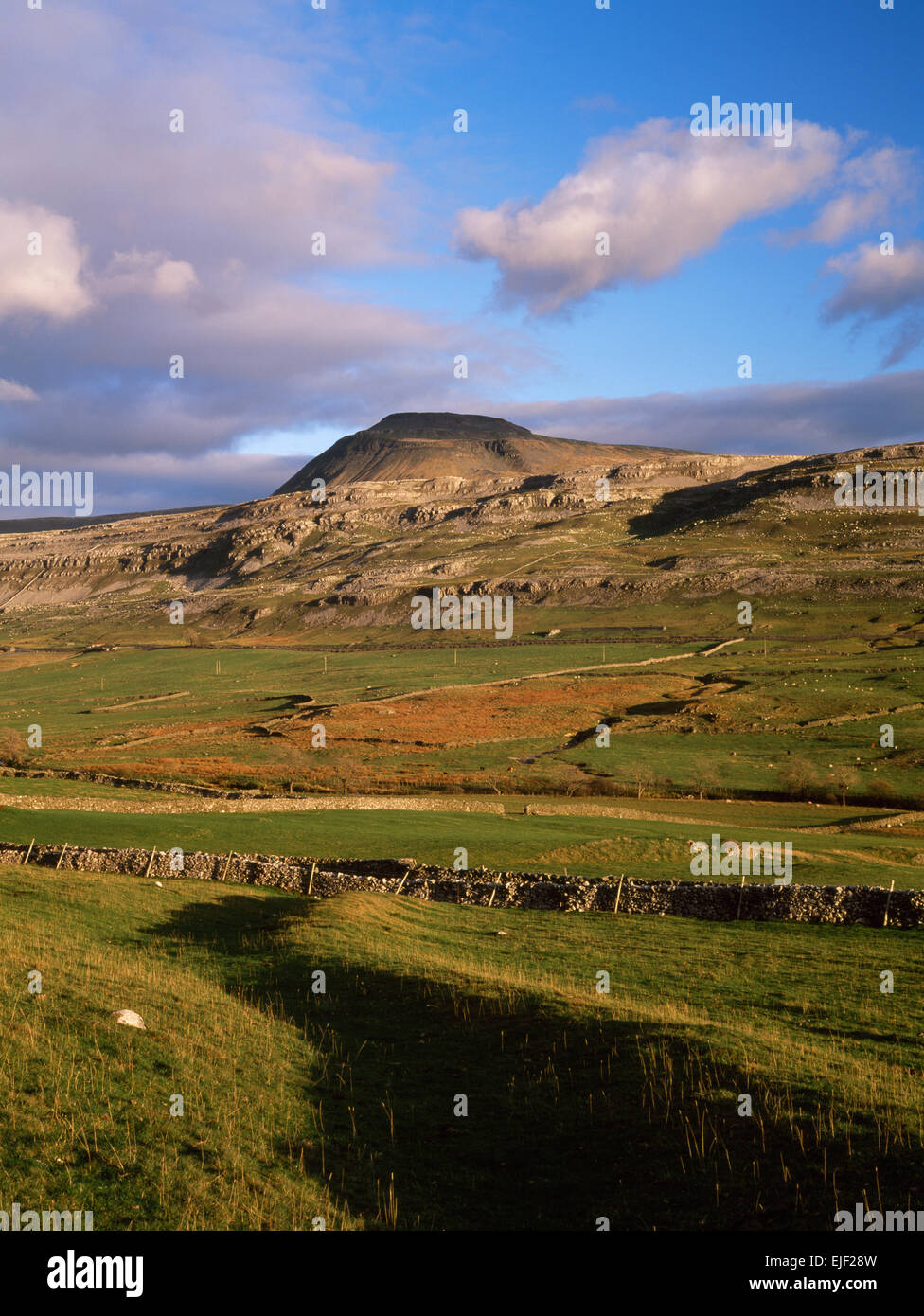Looking ESE across the Doe valley to Ingleborough Hill, North Yorkshire, England's highest hillfort, stronghold of the Iron Age Brigantes tribes. Stock Photo