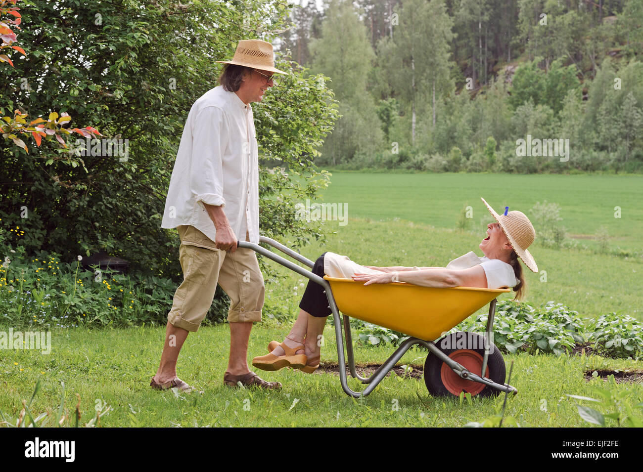 Senior man carries a senior woman in a wheelbarrow outdoors near a vegetable patch. They're laughing and having fun. Stock Photo