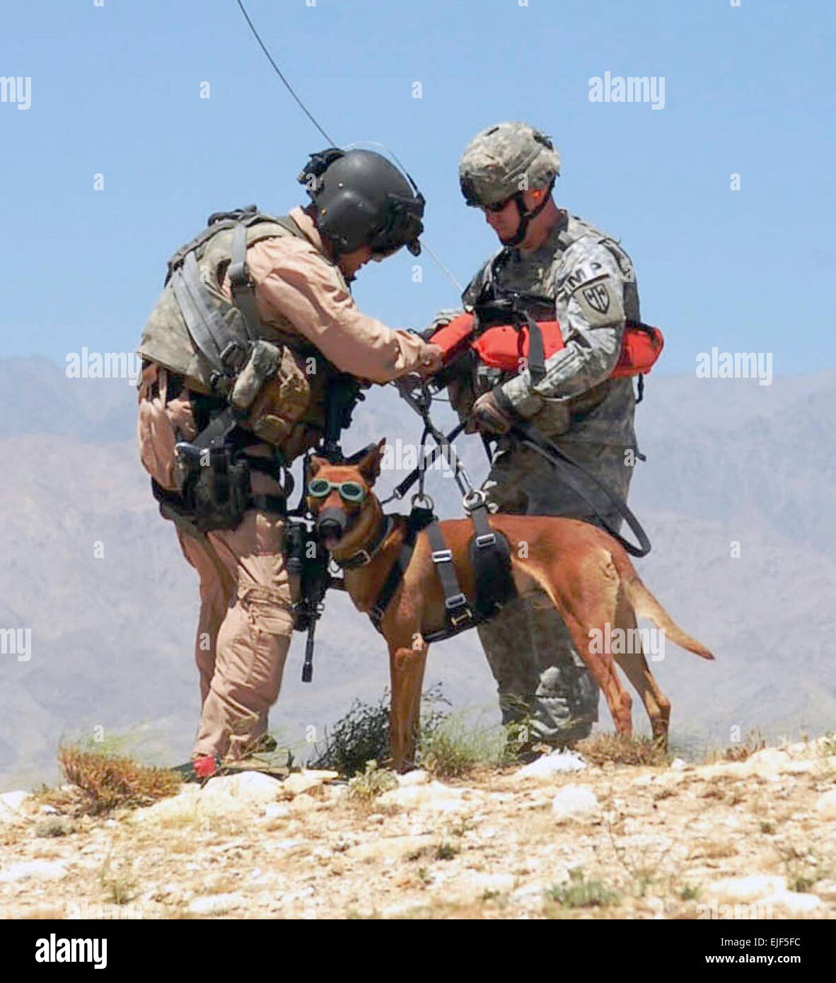 Left, 1st Sgt. Dean Bissey, first sergeant for Company C &quot;Dustoff&quot;, 3rd General Support Aviation Battalion, 82nd Combat Aviation Brigade hooks the hoist harness to Staff Sgt. Michael Hile and his military working dog &quot;Rronnie&quot; from 554th Military Police Company July 15 near Bagram Airfield, Afghanistan. US Army photo by Spc. Aubree Rundle Stock Photo