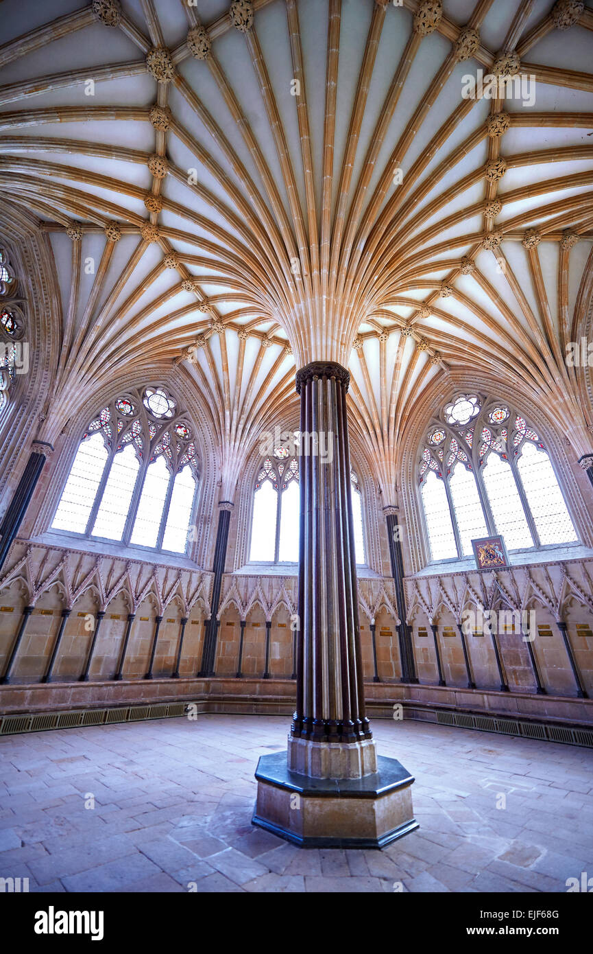 The vaulted ceiling of the Chapter House of  the medieval Wells Cathedral built in the Early English Gothic style in 1175, Wells Stock Photo