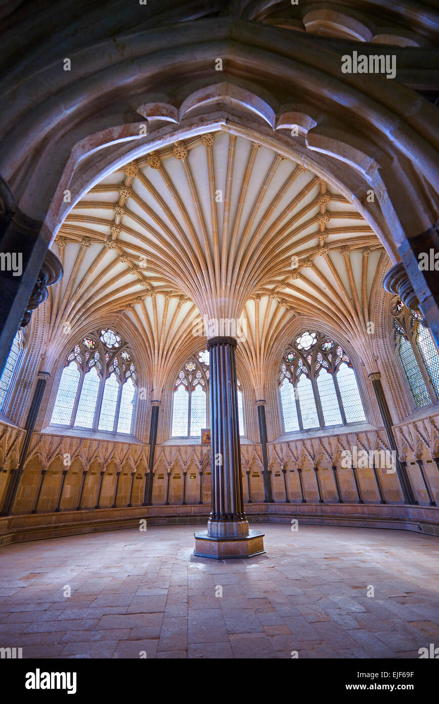 The vaulted ceiling of the Chapter House of  the medieval Wells Cathedral built in the Early English Gothic style in 1175, Wells Stock Photo