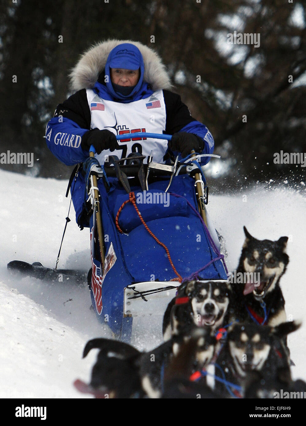 U.S. Army Master Sgt. Rodney Whaley, a Tennessee Army National Guardsman, trains with his dogs March 2, 2008, in Alaska, for the upcoming 2008 Iditarod, billed as 'The World's Last Great Race.'  The two-week dog sled race in Anchorage, Alaska, will take Whaley over frozen rivers, jagged mountain ranges, dense forests, desolate tundra and miles of windswept coast. Whaley, who is being sponsored by the Army National Guard, will become the first Tennessean in history to compete in the race.  Russel Lee Klika Released Stock Photo