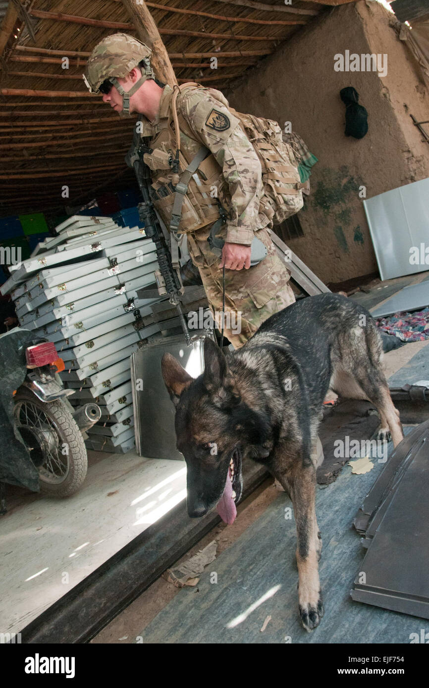 Staff Sgt. J.D. Wake, who serves as a military working dog handler with USFOR-A, along with his working dog Csuma, search a metal workshop for contraband during a joint operation with the Afghan Uniformed Police of Police Sub-Station 16, Sub-District 4 and Military Police with the 58th Military Police Company, 503rd Military Police Battalion, 2nd Stryker Brigade Combat Team, 2nd Infantry Division, in Kandahar, Afghanistan, May 23. Stock Photo