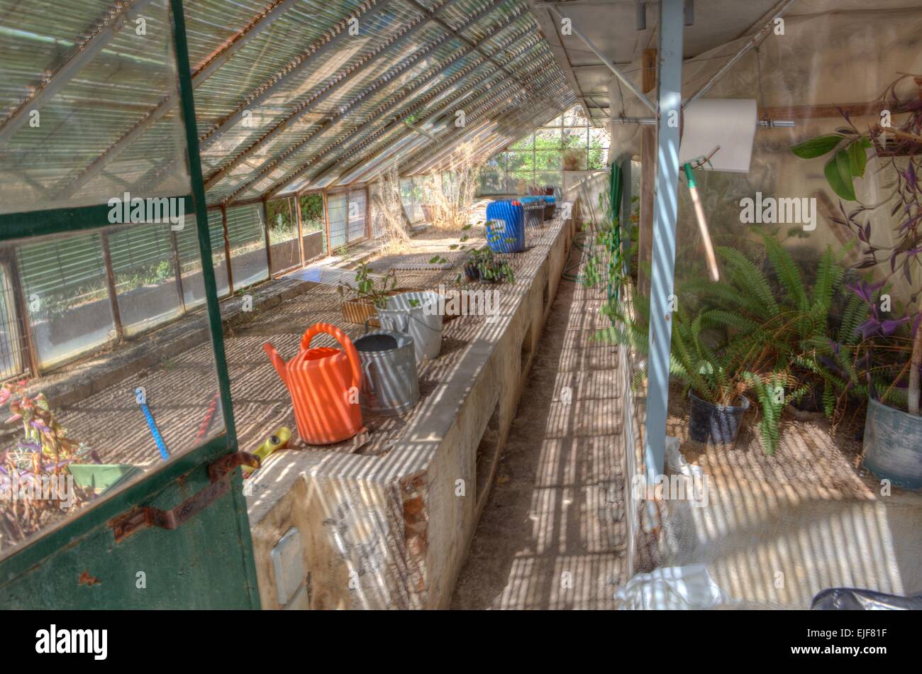 Abandoned old glass greenhouse. HDR Indoors shot Stock Photo