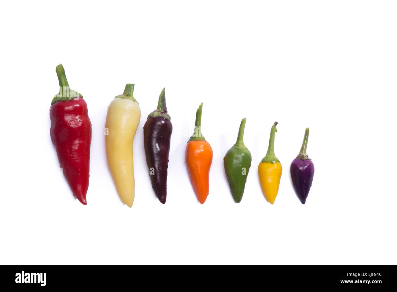 hot peppers on white background Stock Photo - Alamy