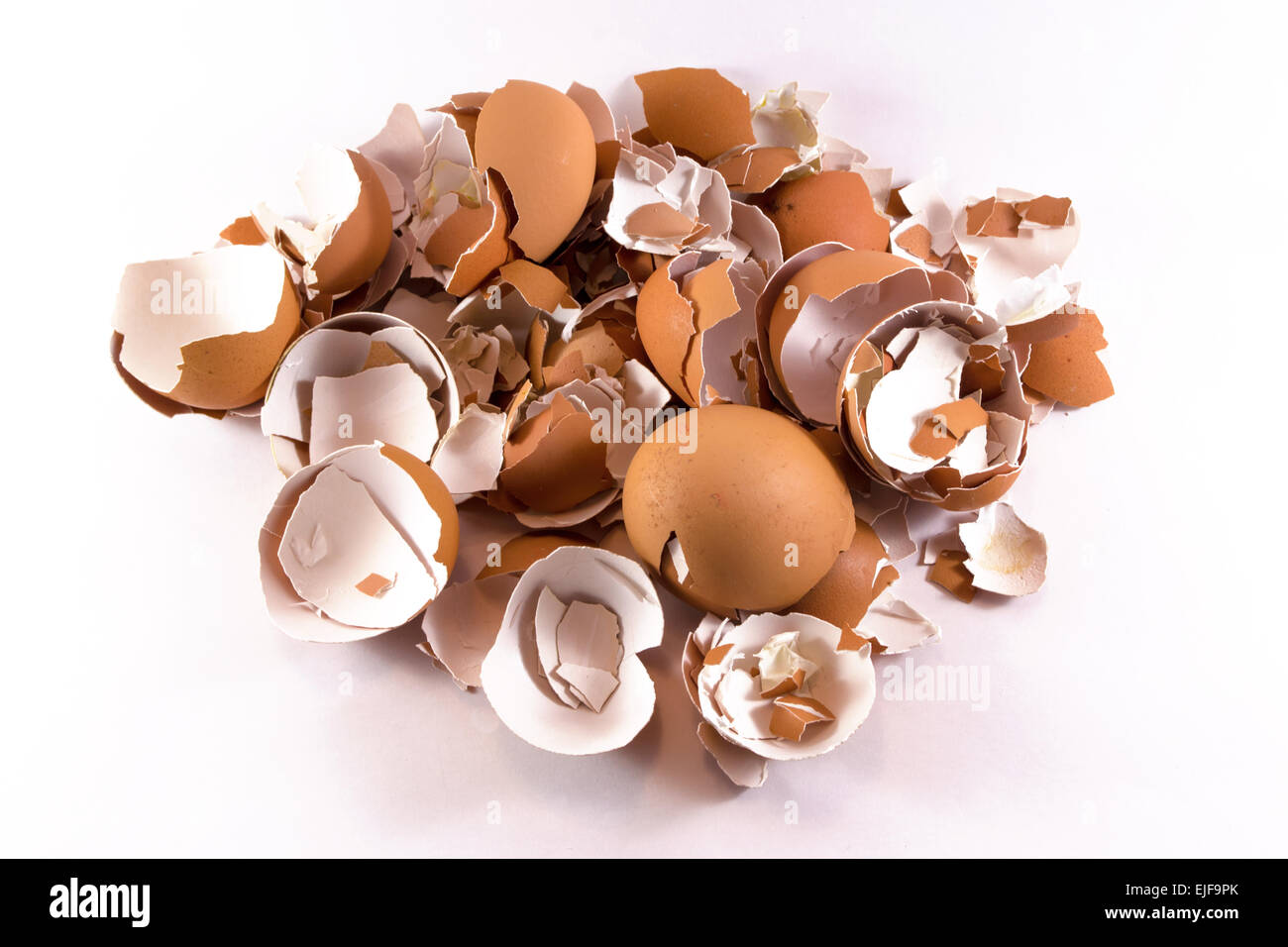 A pile of smashed crushed and broken eggshells on white background ...