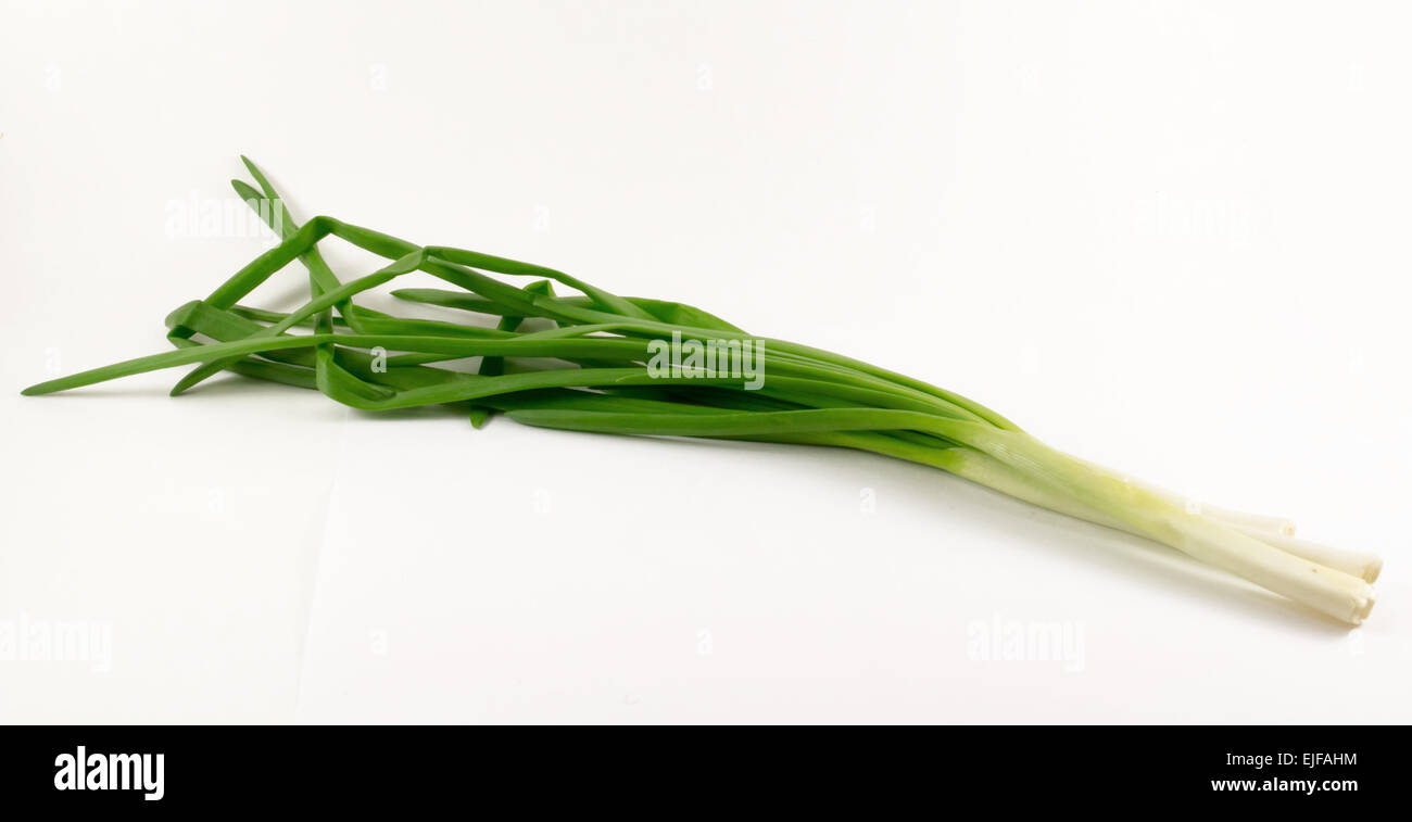 Three fresh green spring onions on a white background with green leaves and white bases Stock Photo