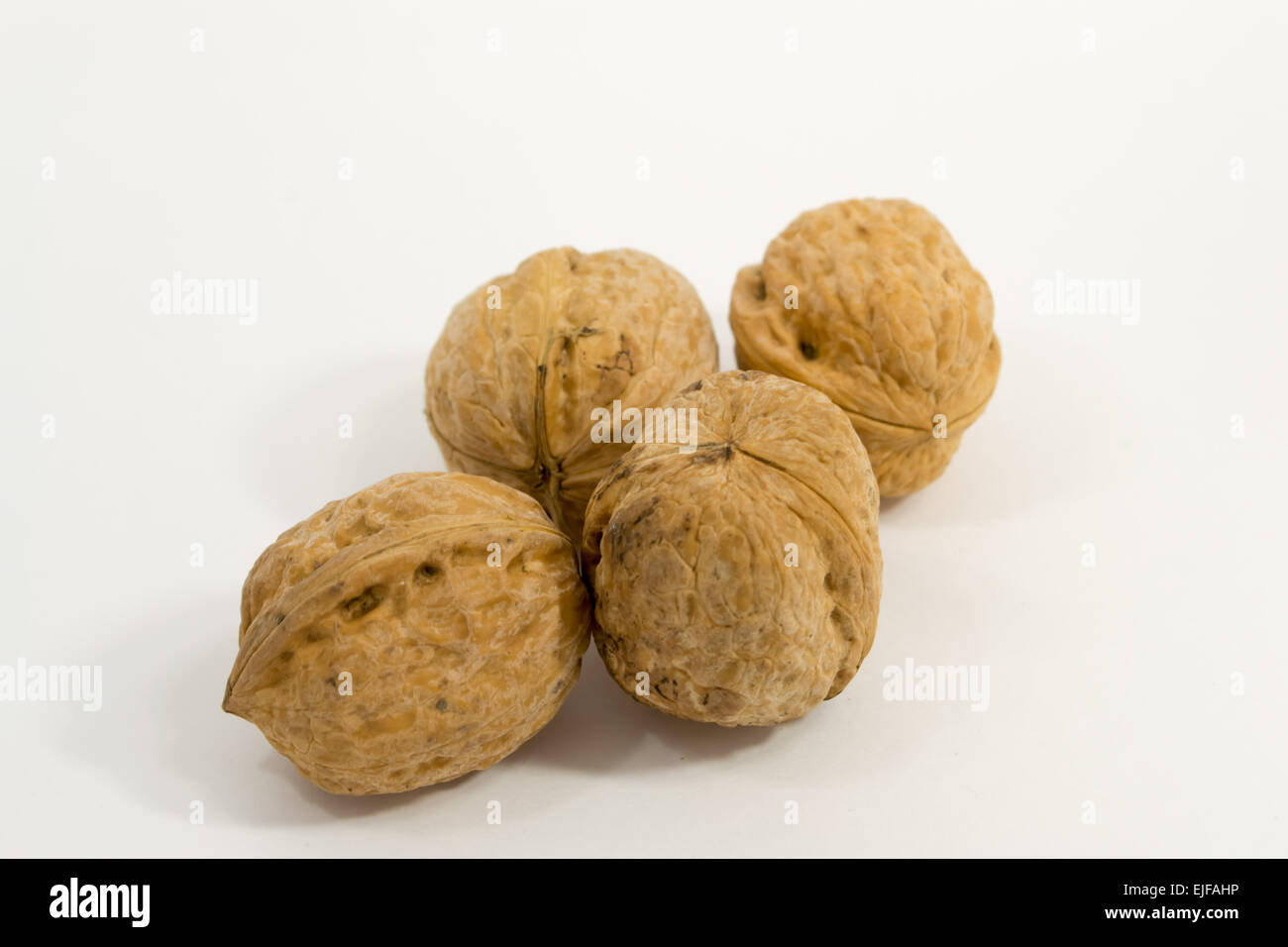 Four walnuts with sharp focus on a white simple clean background - unopened and still in their shells Stock Photo