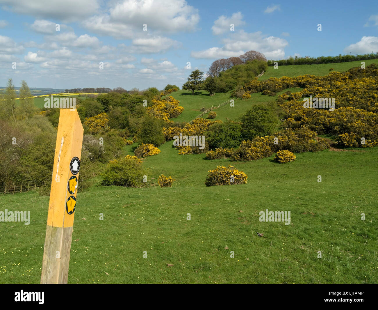 Leicestershire Round long distance countryside footpath and sign near Burrough Hill, Leicestershire, England, UK. Stock Photo