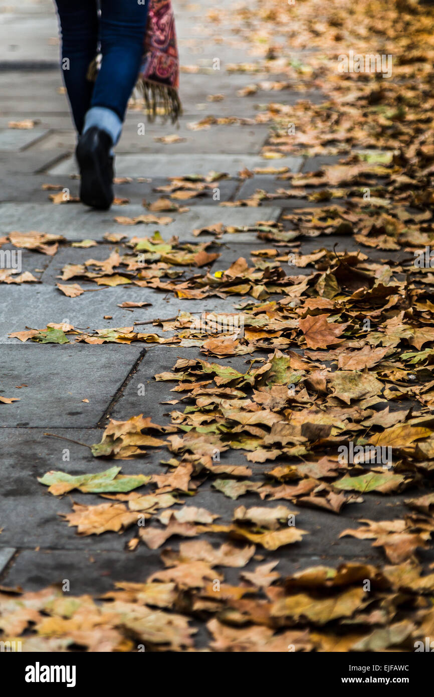 Leaves on the ground down the Northbank in London. Stock Photo