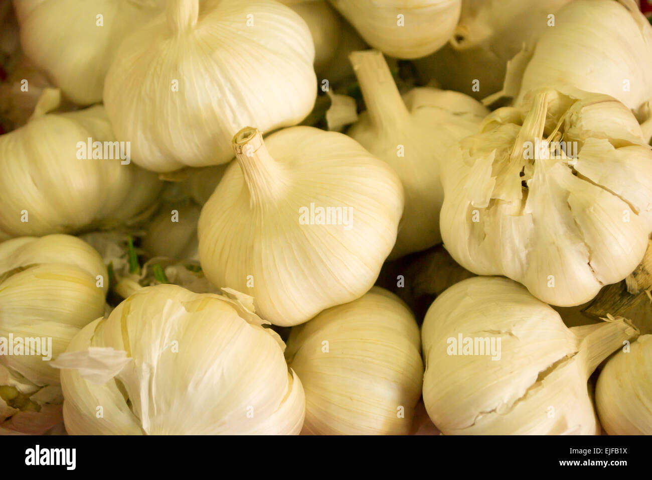 Garlic bulbs make an attractive display at a shop in the urban town Stock Photo Alamy