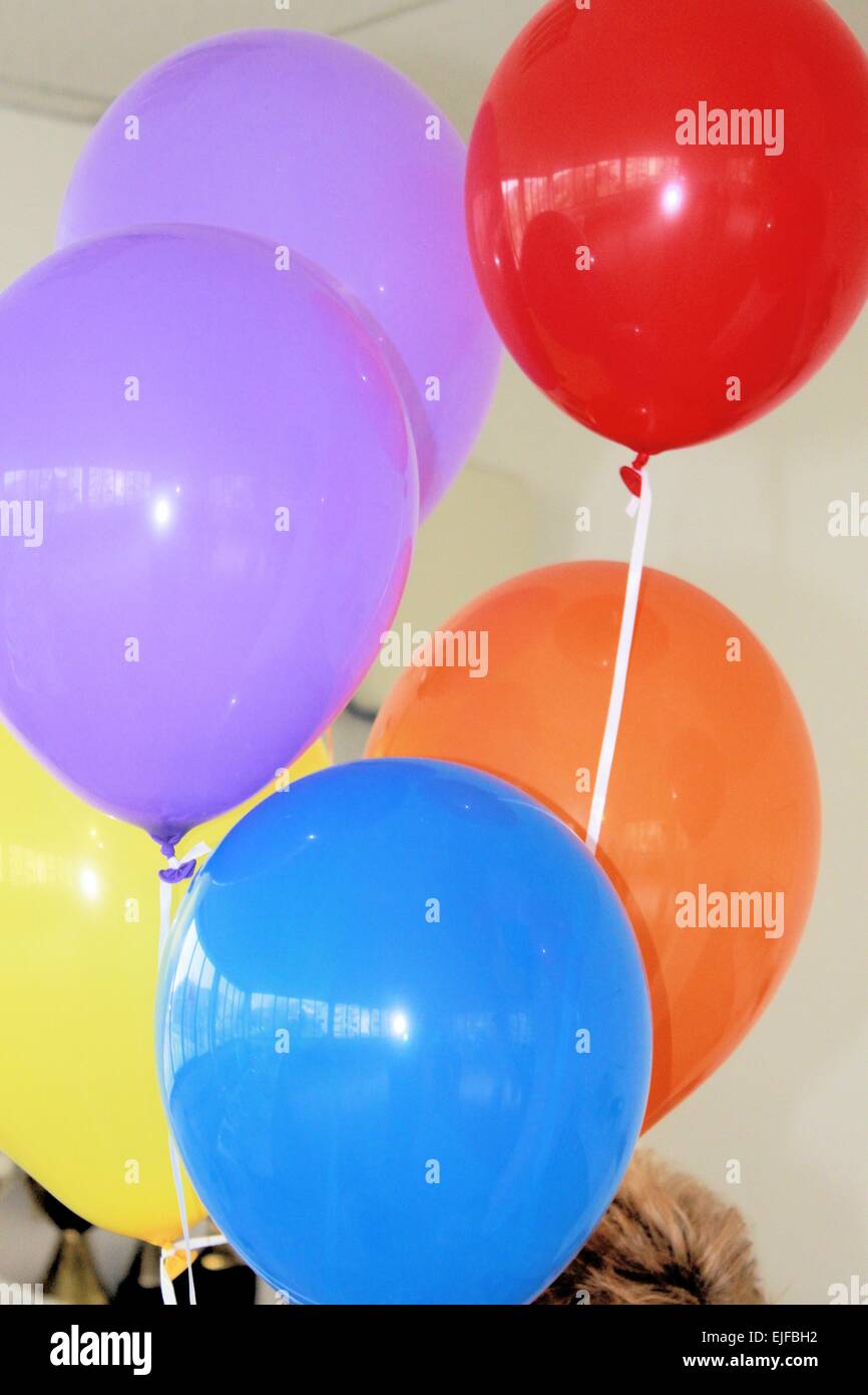 colorful balloons filled with helium Stock Photo Alamy