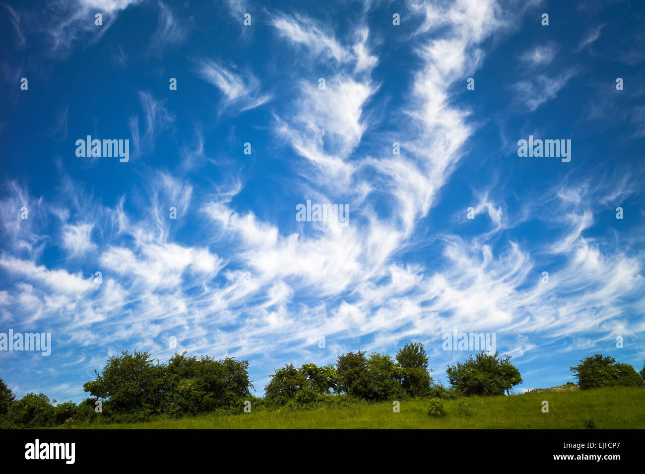 Cirrus clouds in blue sky Stock Photo