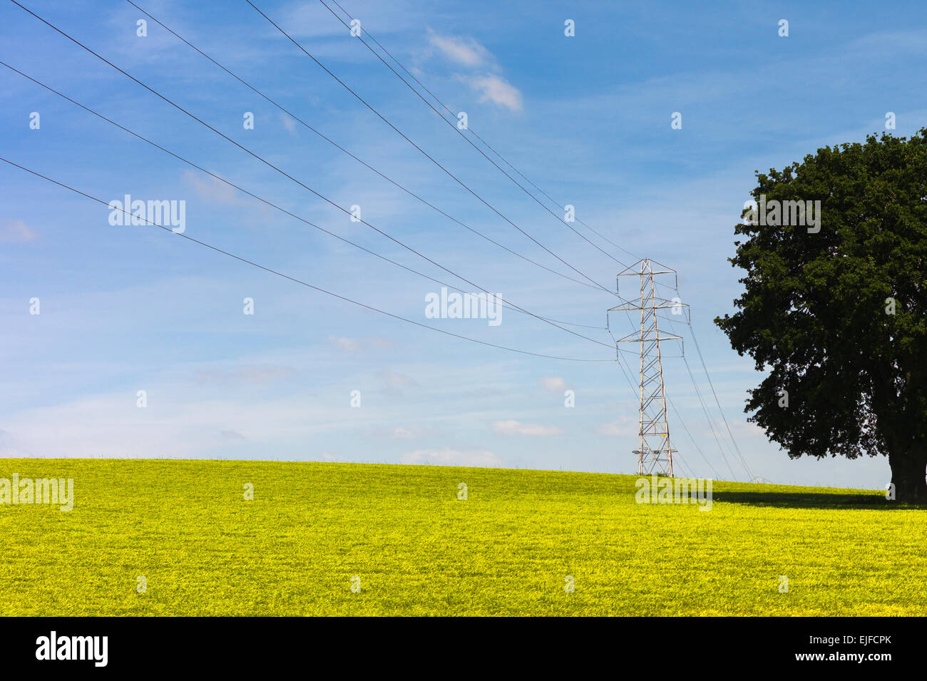 Electricity pylon and power cables in South Devon, England, UK Stock Photo