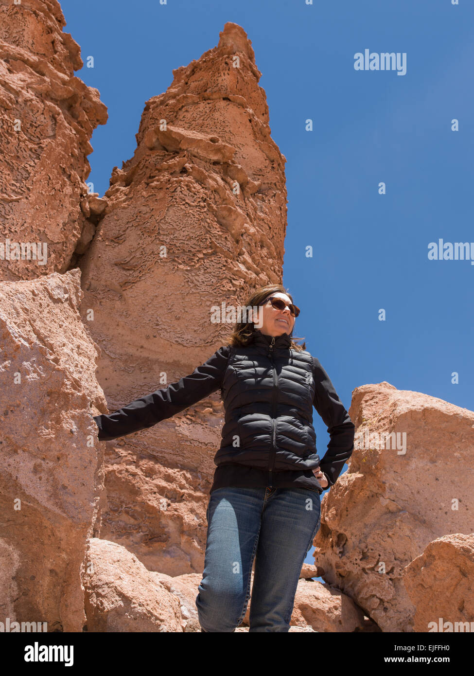 Salar de Atacama, San Pedro de Atacama, El Loa Province, Antofagasta Region, Chile Stock Photo