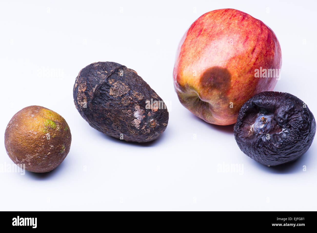 top view rotten mango close up on a grey background #AD , #rotten, #view,  #top, #mango, #background