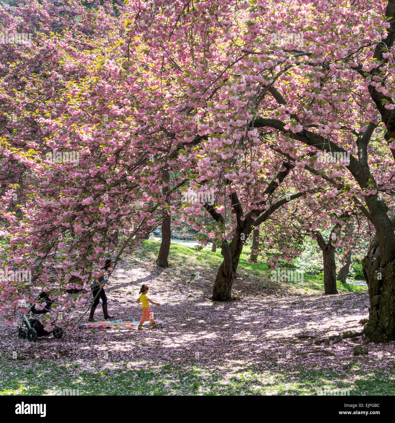 My Image 26