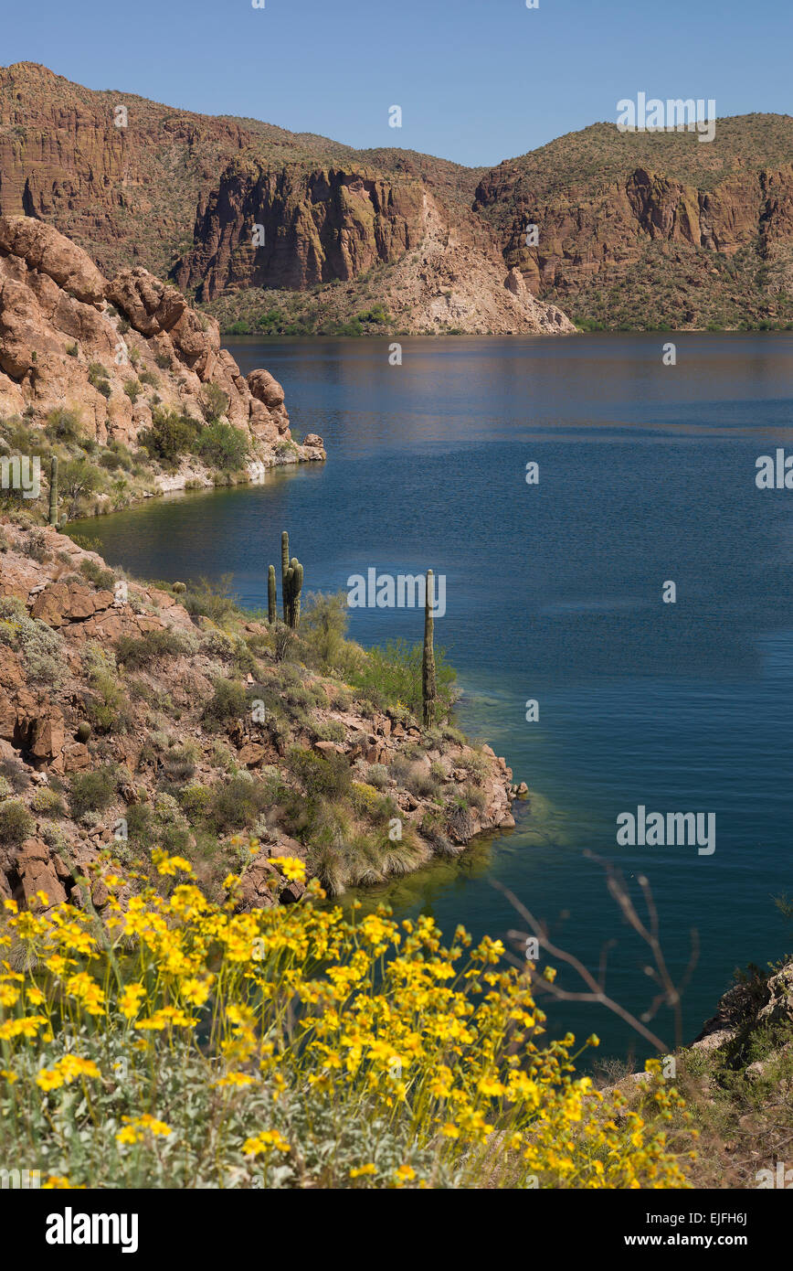 View of Canyon Lake on the Apache Trail in Arizona Stock Photo