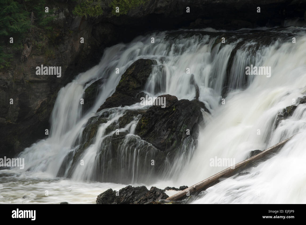 Petite nation hires stock photography and images Alamy