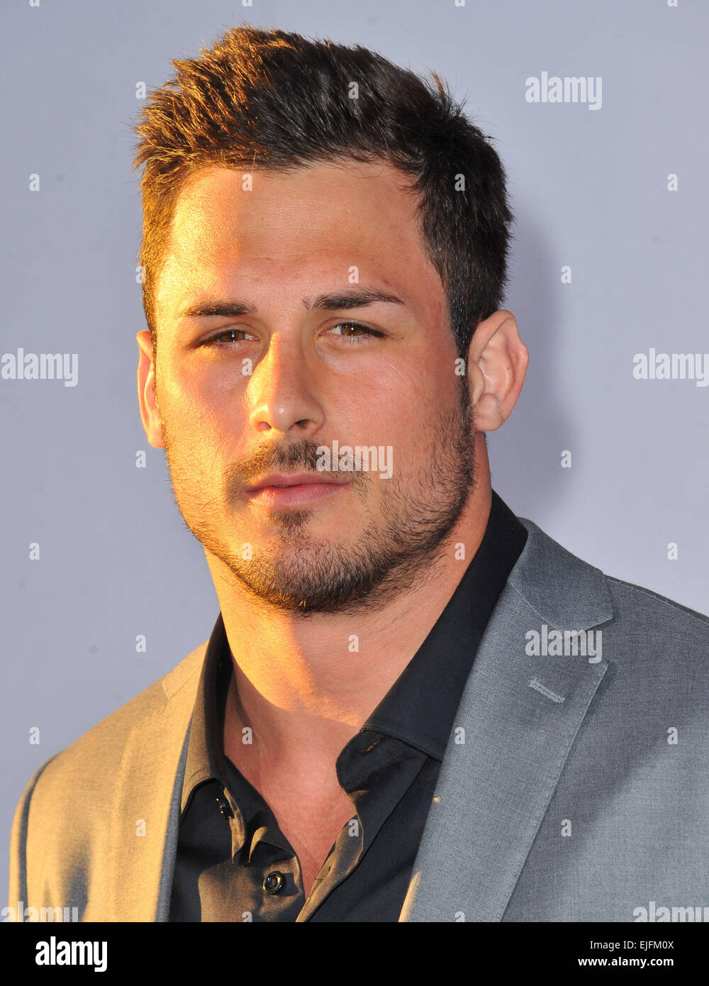 Los Angeles, California, USA. 25th Mar, 2015. Danny Amendola