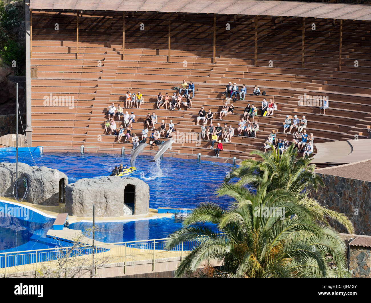 Dolphin show at the Palmitos park zoo dolphinarium, Gran Canaria, Canary islands, Spain, Europe Stock Photo