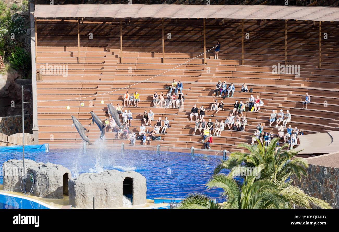 Dolphin show at the Palmitos park zoo dolphinarium, Gran Canaria