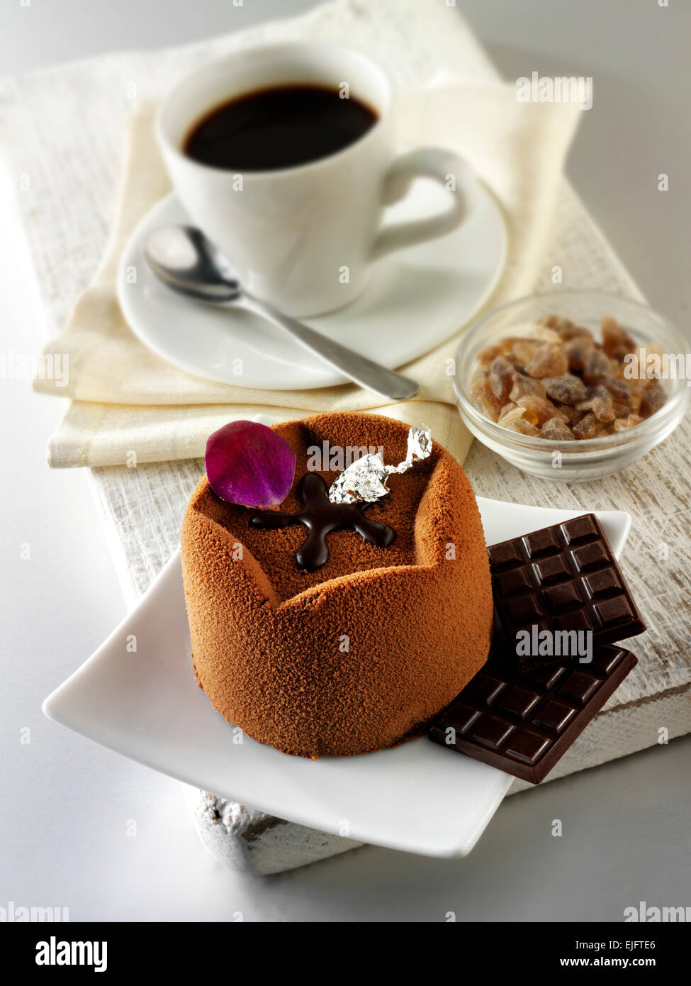 Chocolate cake with a molded chocolate case and a chocolate filling, covered with cocoa powder Stock Photo