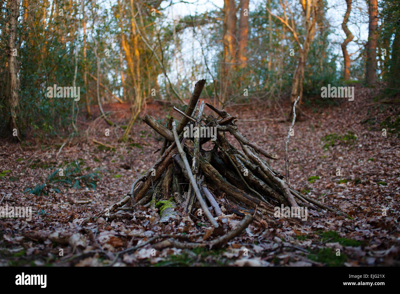 A pile of sticks ready for a fire. Stock Photo