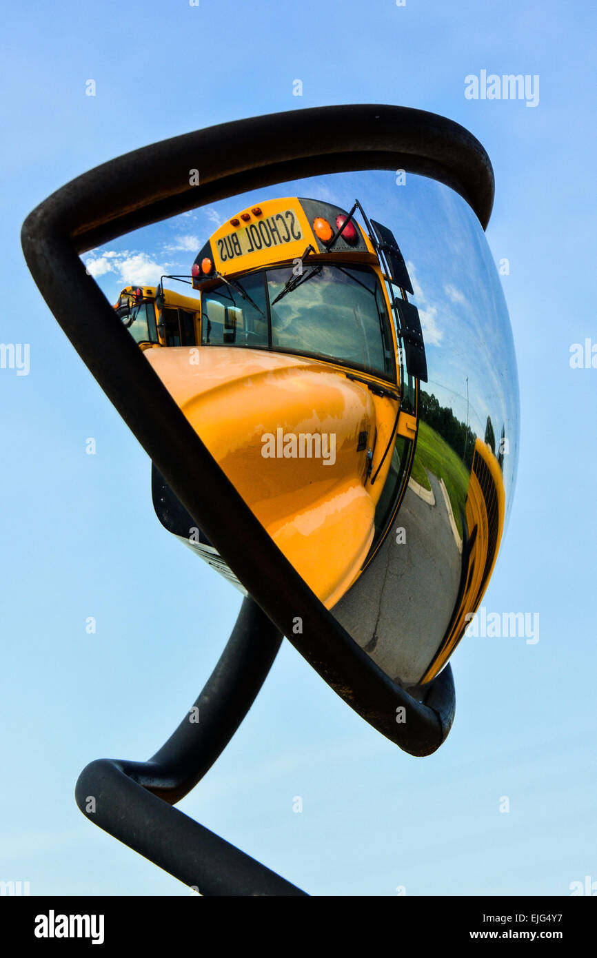 School Buses Mirrors