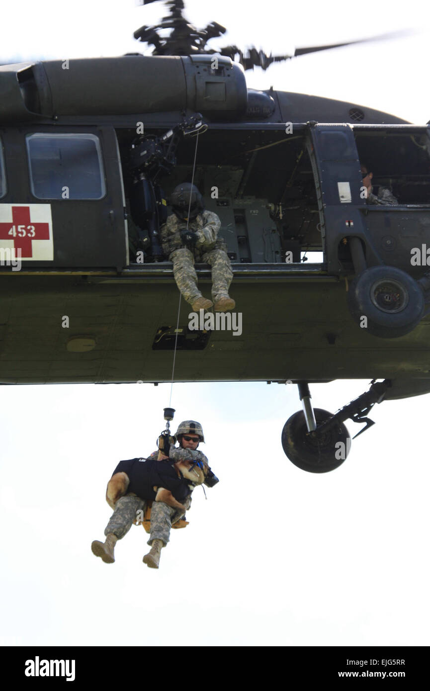 Staff Sgt. Carlos Paniagua, Patrol and Explosives Detection Dog Handler, 95th Military Police Battalion, K9 Detachment NCOIC, and his dog, Rex, sit on a Blackhawk's hoist as they get raised up into the Blackhawk during a K9 MEDEVAC training held at Camp Bondsteel, Kosovo on July 13, 2009.  Spc. Darriel Swatts, 69th Public Affairs Detachment.   /  /  . Stock Photo