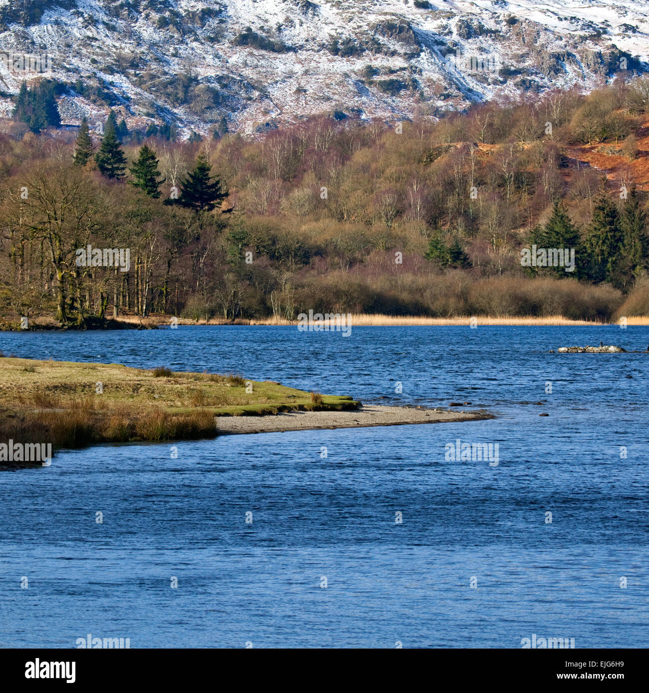 Rydal Water and distant snow capped Silver Howe mountain in winter Lake District National Park Cumbria England United Kingdom Stock Photo