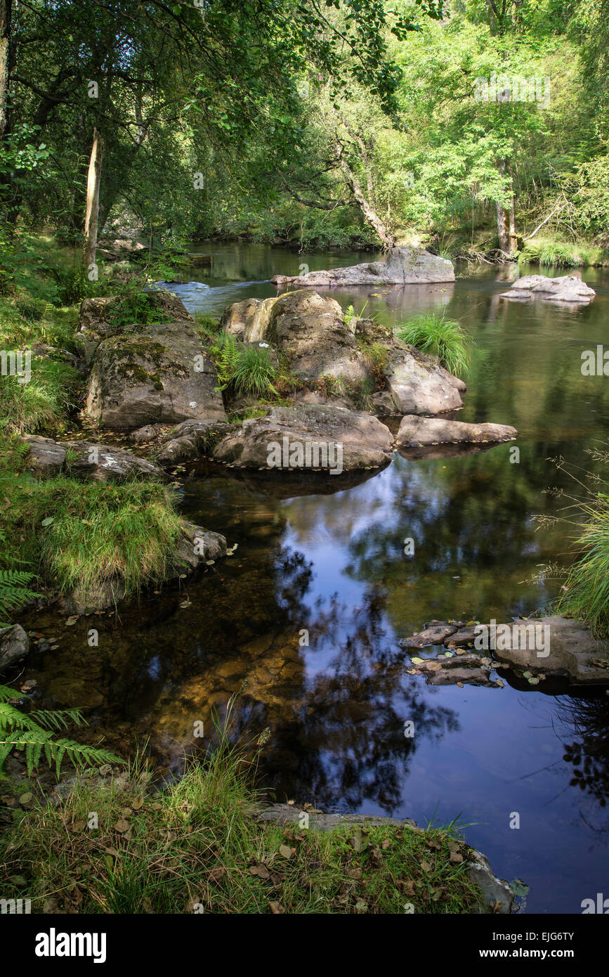Beautiful river flowing through forest landscape in Summer Stock Photo ...