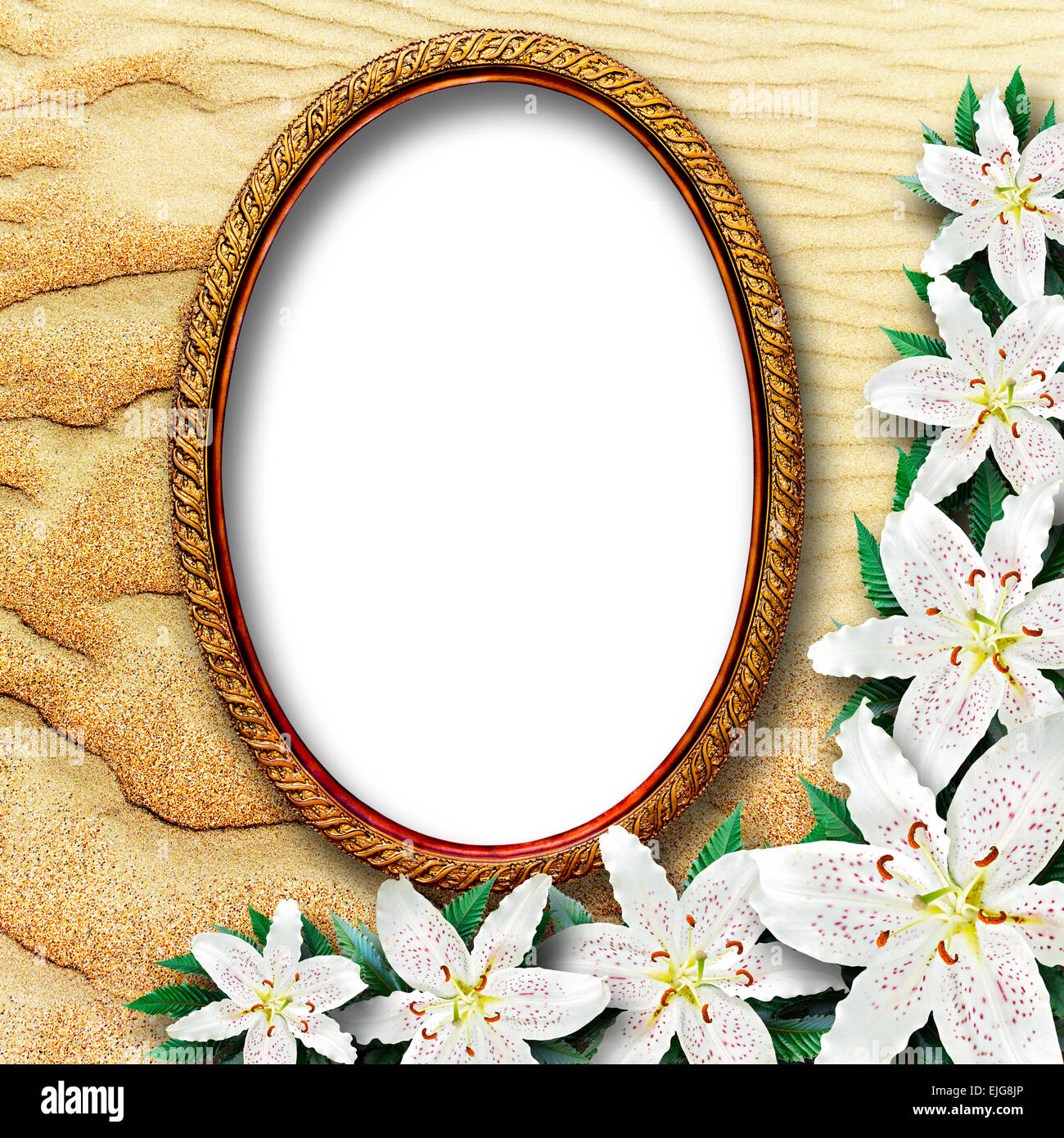 Spring Osier Frame Old picture of osier hi-res stock photography and images - Alamy
