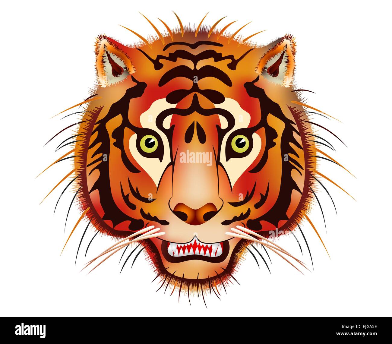 Tiger head - beast of prey - vector Stock Vector