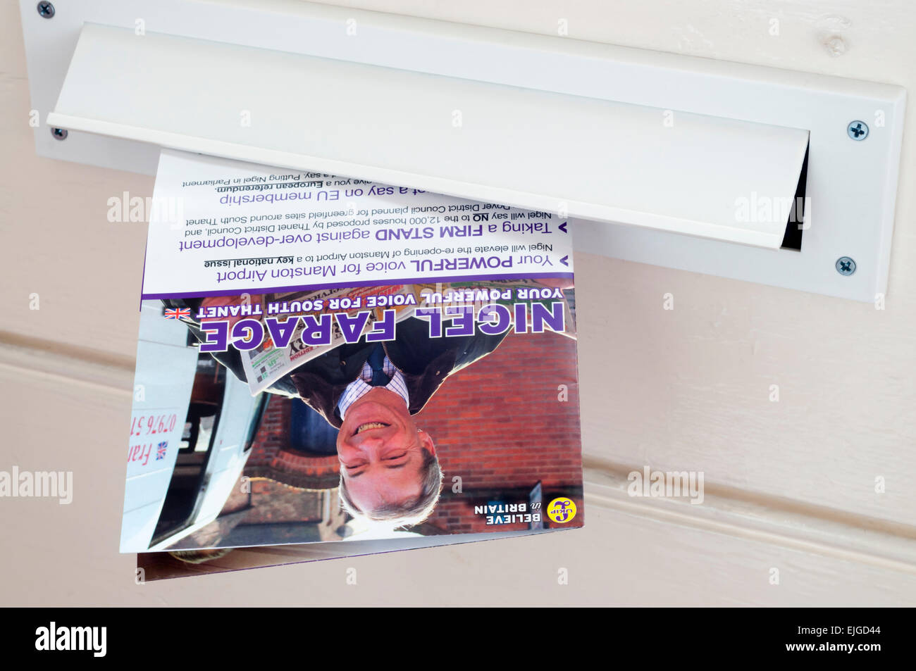 Delivery of a UKIP election leaflet for Nigel Farage through a letterbox in the South Thanet constituency. Stock Photo
