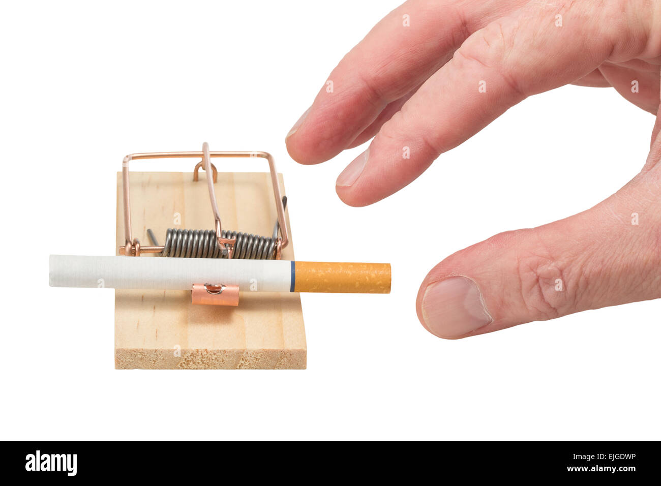 open cigarette pack Vintage Open Cigarette Pack – Royalty-Free Vector