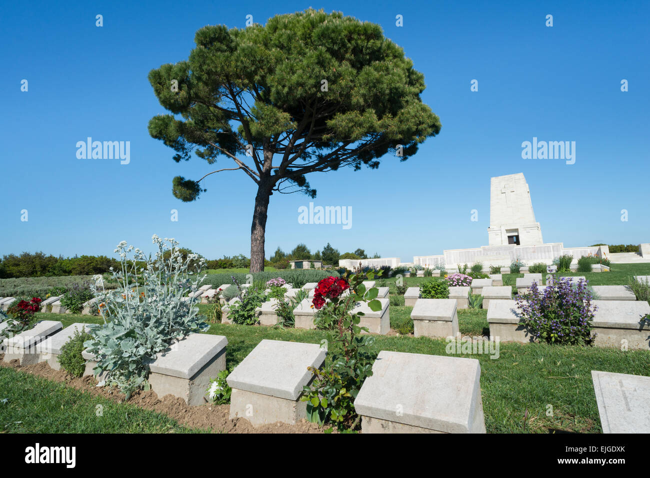 Lone Pine cemetery.  Gallipoli National Historic Park. Gallipoli peninsula. Turkey. Stock Photo